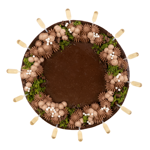 ZEMĚ CHEESECAKE 