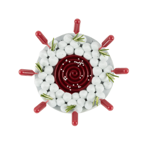 Miniatura - TONDA CHEESECAKE