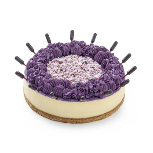 KNEDLA CHEESECAKE VOL. 2